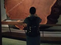 -美国自然历史博物馆