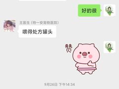 -特一安24小时宠物医院·骨科·中兽医