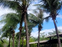 -亚龙湾国际玫瑰谷