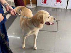 -爱侣宠医·鹦鹉专科·小型哺乳类·异宠专科(灵石路店)