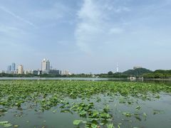 -月湖风景区