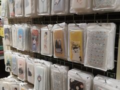 -猫咪博物馆(顶澳仔猫街店)