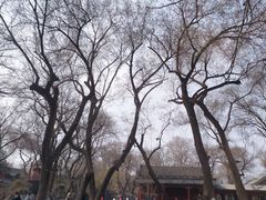 -恭王府博物馆
