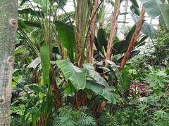 -北京植物园-展览温室