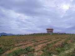 -光明小镇欢乐田园