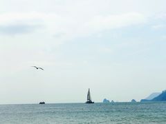 -海云台海滩