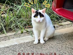 -宝界山林公园