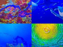 -海合安天津极地海洋公园