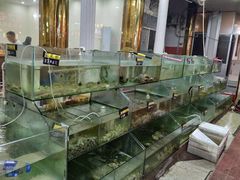 水产区-四海鲜渔家菜(黄金海岸店)