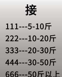 -Fundi张玉珊修身堂·indiba·BTL科技瘦身