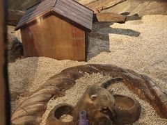 -昆明大悦城未来动物城(螺蛳湾中心店)