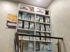 -宠爱国际动物医院·疑难骨科·心肾内科·皮肤科(太阳宫店)