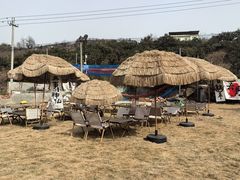 -桃源山庄·水蜜桃采摘·柴火鸡·烧烤团建(龙泉山店)