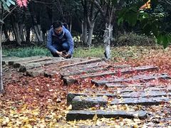 -梁鸿国家湿地公园
