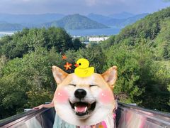 -千岛湖天屿景区
