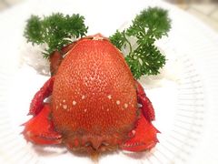 -雅玛花式铁板烧(国宏宾馆店)