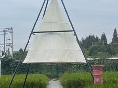 -金稼园·金平湖农家菜