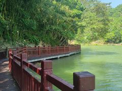 -广州白江湖森林公园