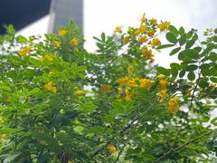 -福道