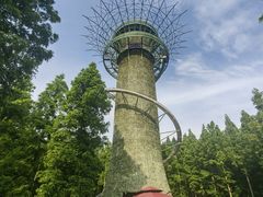 -黄海国家森林公园