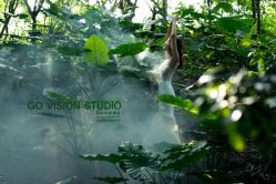 -GO VISION 动视觉婚纱摄影高级定制
