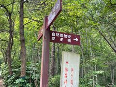 -大蜀山国家森林公园