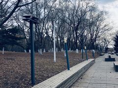 -长白岛森林公园