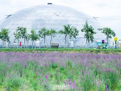 游乐设施-盈香心动乐园