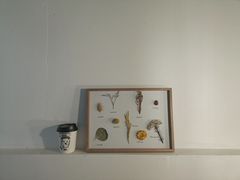 -red donkey coffee