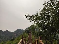 -大岭沟猕猴桃谷风景区
