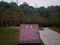 -重庆彩云湖湿地公园