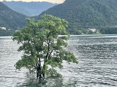 -庐山西海主景区