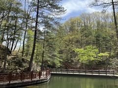 -洛阳白云山景区