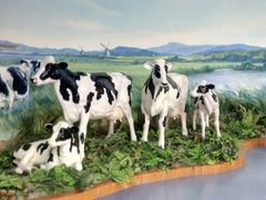 -君乐宝优致牧场