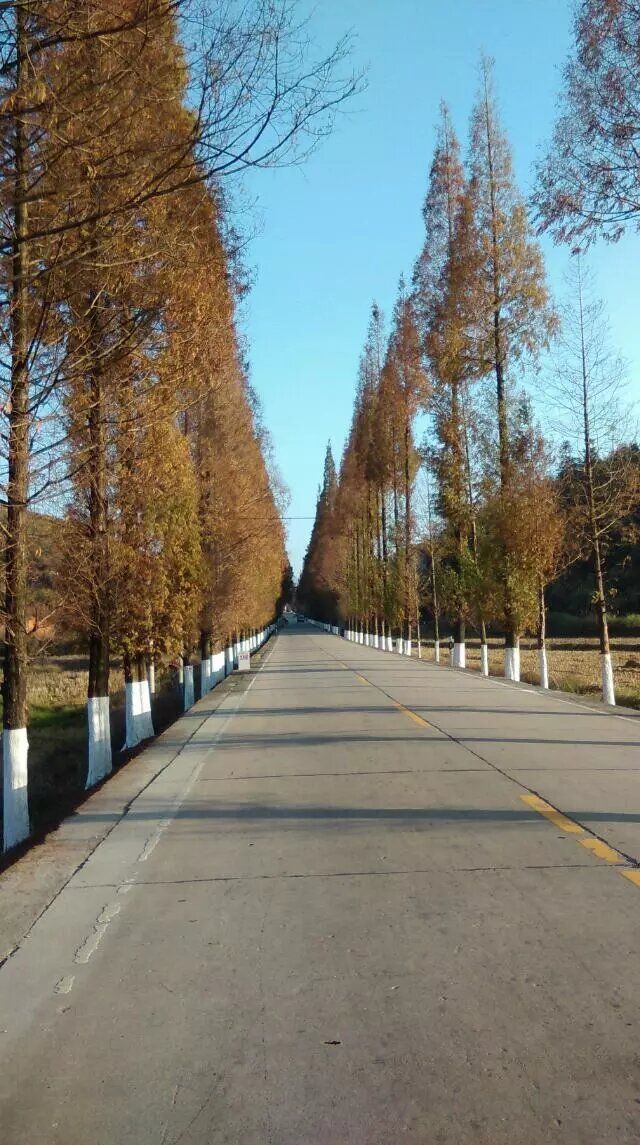 大竹天气天气大全