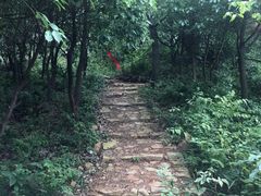 -雨花胜境