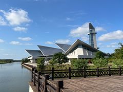 -盐城丹顶鹤湿地生态旅游区