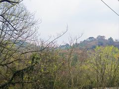 -木兰云雾山