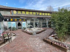 -蘑统田下·野生菌火锅