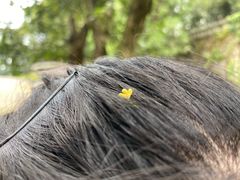 -重庆抗战遗址博物馆