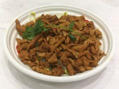 -鹅城
