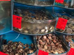 -四海蒸鲜蒸汽海鲜自助(北戴河店)
