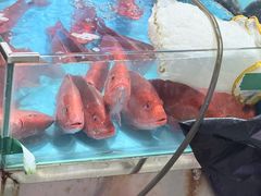 -渔人金景(湛江·渔人码头店)
