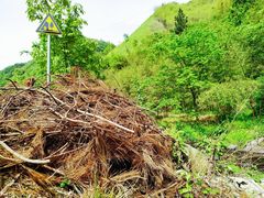 -将军关探险漂流