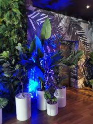 -格乐利雅婚礼艺术中心(南外滩店)