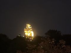 -大金鹰园
