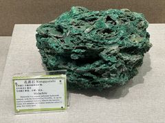 -北京中医药大学-中医药博物馆