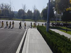 -金银湖国家城市湿地公园