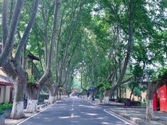 -T80科技文化国际社区-停车场