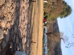 -西湖外事游船(花港观鱼码头)